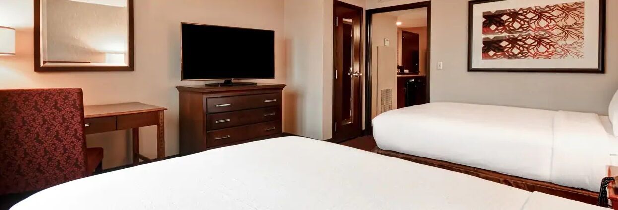 הרנדון Embassy Suites By Hilton Dulles Airport מראה חיצוני תמונה